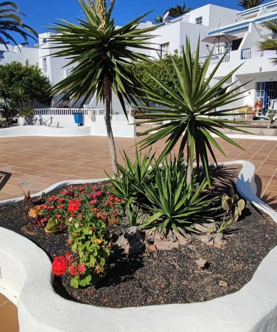 Apartamento Oasis Azul, Vista Oceano. Πουέρτο Ντελ Κάρμεν 0*,  Ισπανία